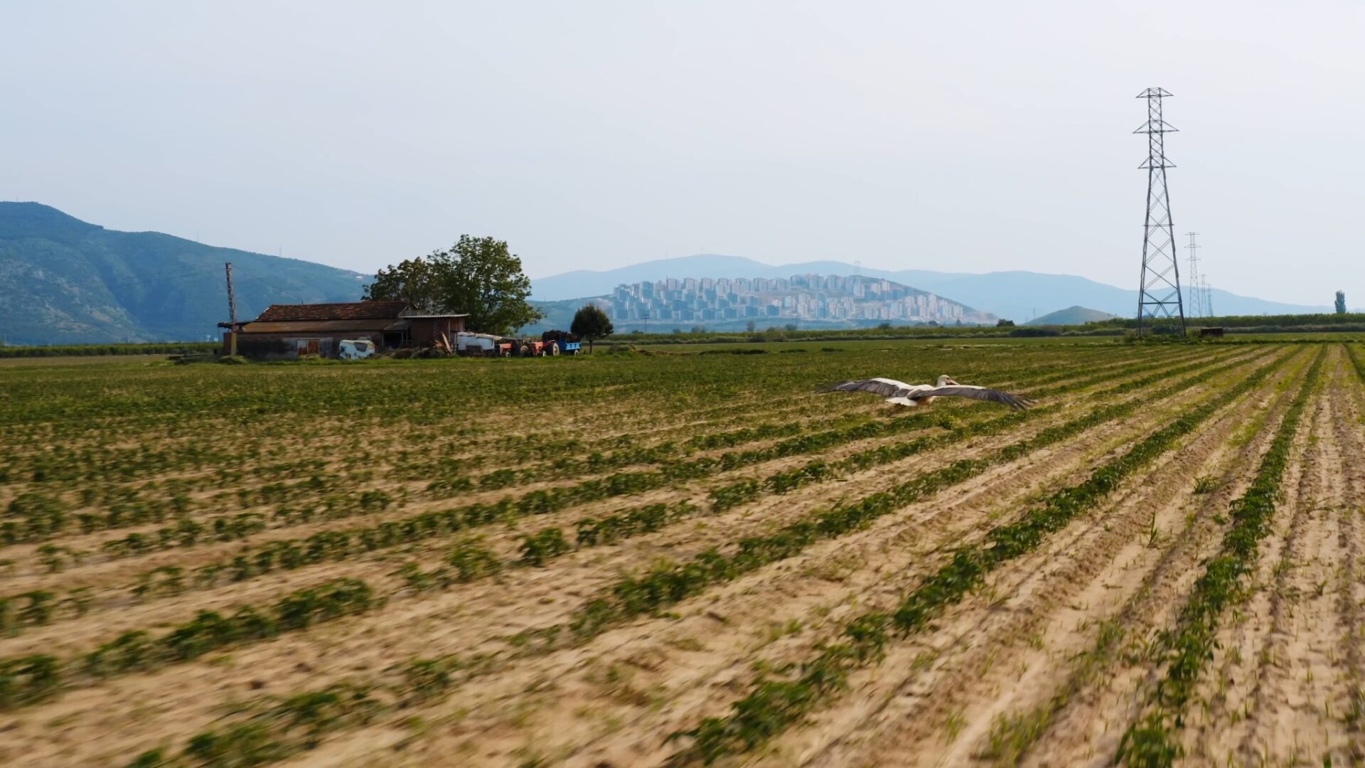 ANDROS fabrika tanıtım filmi proje kapağı